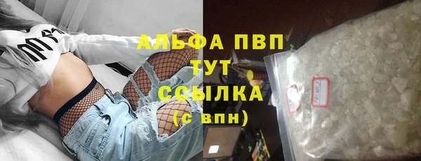 хмурый Абаза