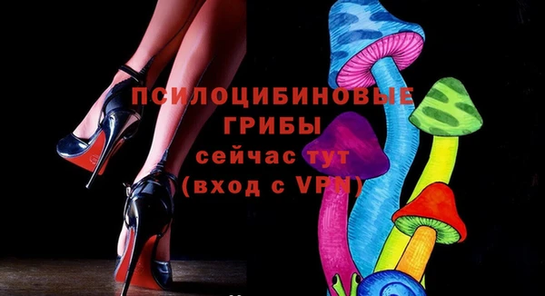 мяу мяу кристалл Покачи
