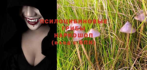 PSILOCYBIN Покровск