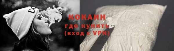 хмурый Абаза