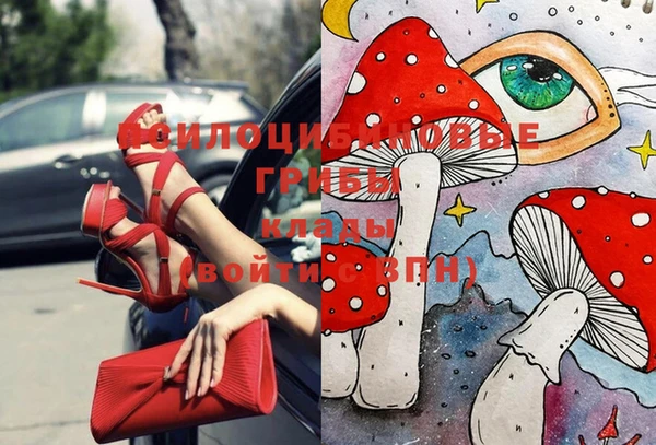 PSILOCYBIN Покровск