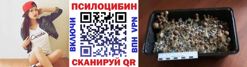 Псилоцибиновые грибы мицелий Суоярви
